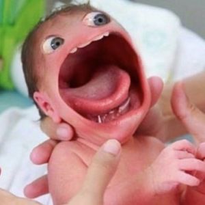 Meet your Posher, Ashly